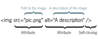 The anatomy of the img element